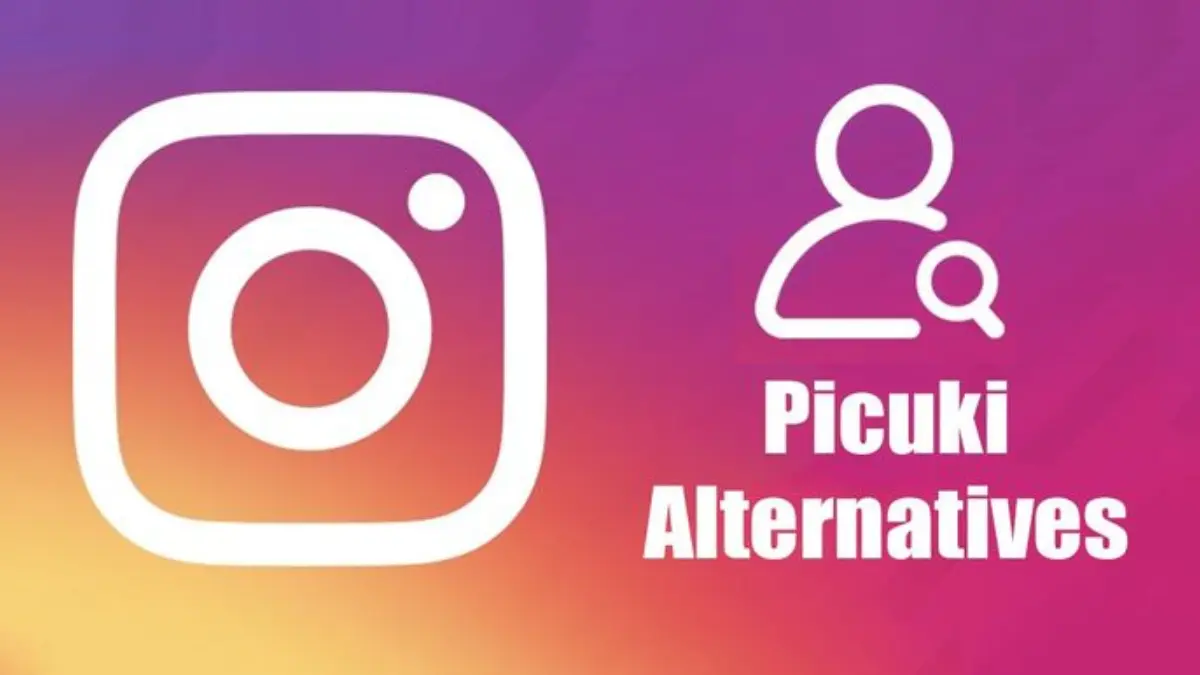 Picuki Alternative